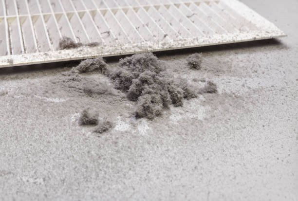 Best Best Air Duct Cleaning Company  in Anchor Point, AK