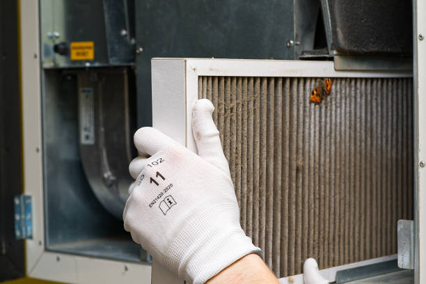 Best Affordable Duct Cleaning Services  in Anchor Point, AK